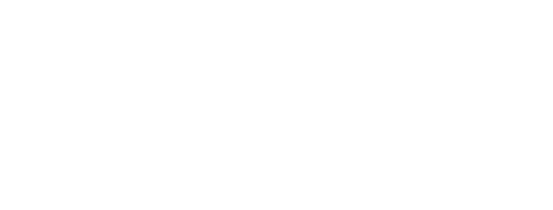 bwiiw Logo